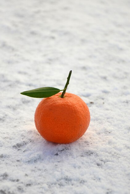 雪の上にあるオレンジの果物のクローズアップ