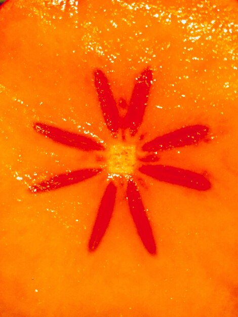 Close-up of orange fruit over white background