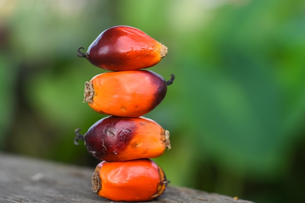 Close-up of orange fruit on wood