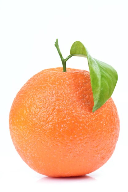 Close-up of orange fruit