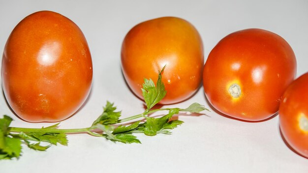 Close-up of orange fruits on table