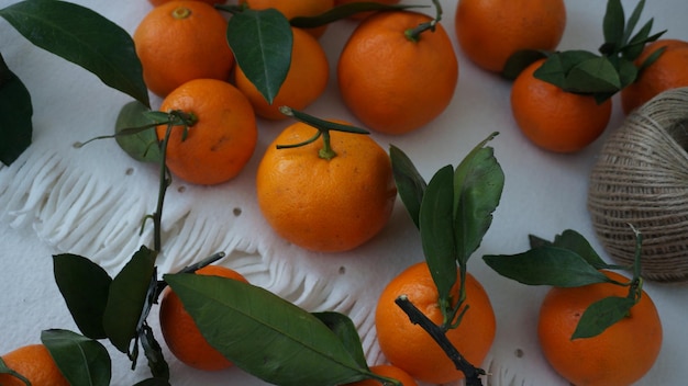 close-up of orange fruits