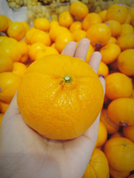 Close-up of orange fruits