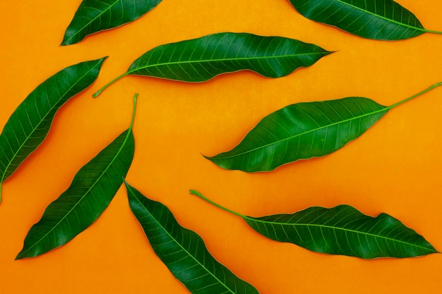 Photo close-up of orange leaves