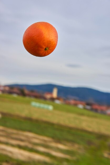 Foto close-up di arancione in aria sul campo contro il cielo