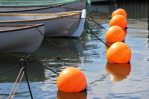 Photo close-up of orange moored on sea