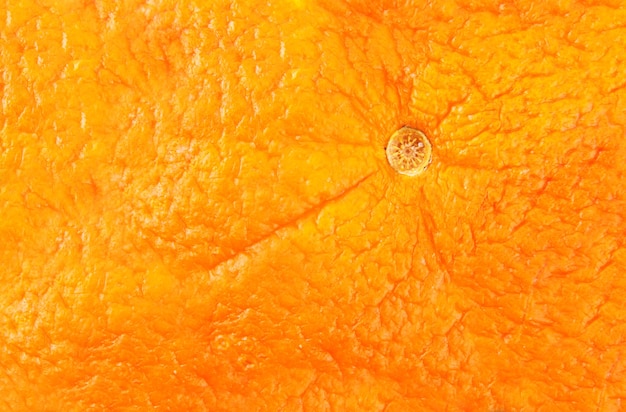 Photo close-up of orange peel