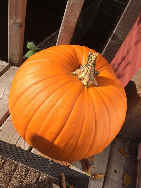 Close-up of orange pumpkins on wood