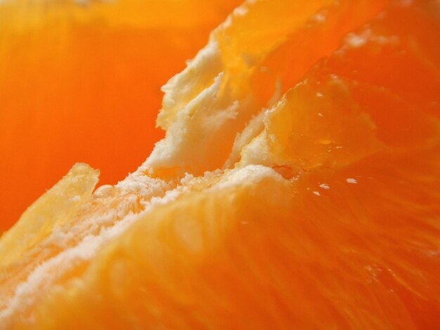 Close-up of orange slices