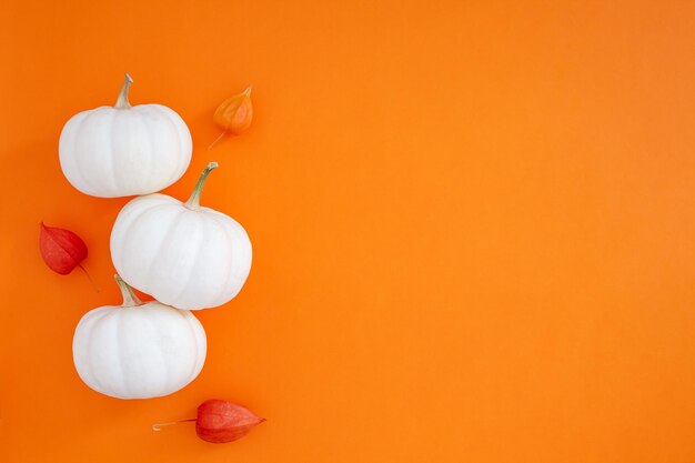 Close-up of orange over white background