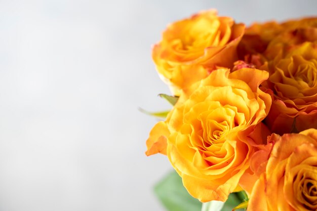 Close up orange yellow rose flowers bouquet with copy space grey background