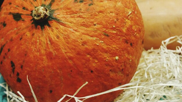 Close-up of orange