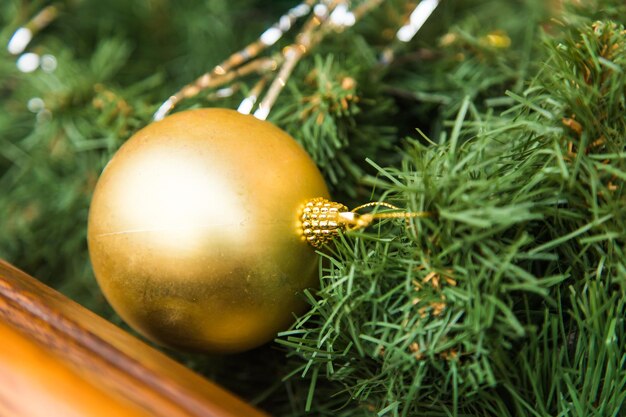 Foto close-up di arance che crescono sull'albero