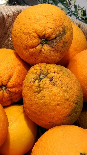 Close-up of oranges for sale in market