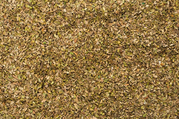 Close up on oregano texture as a background