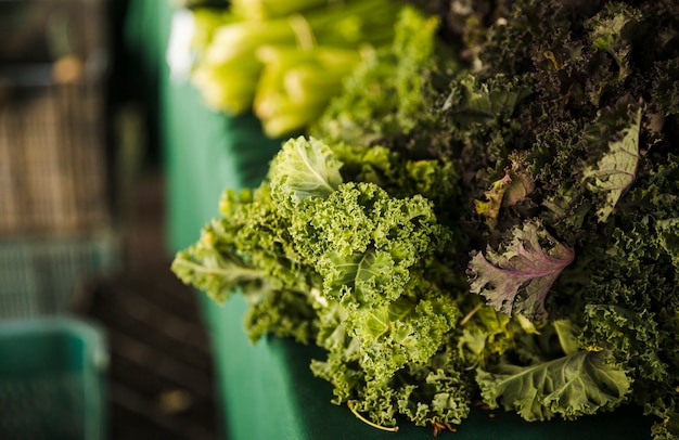 Close-up of organic fresh kale leaves vegetable for sale in market