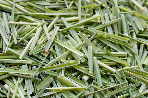 Close up organic lemongrass. leaves cut