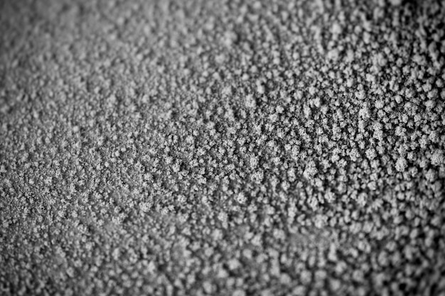 Close-up of organic red soil. texture background.black and white