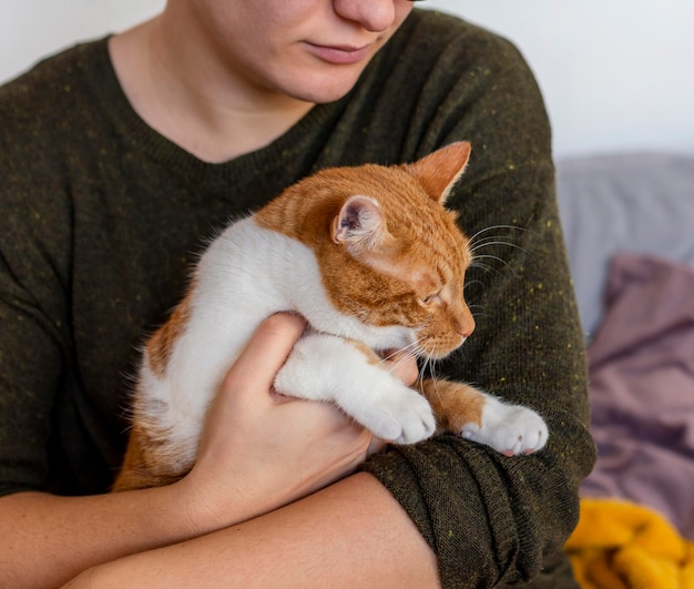 Photo close up owner holding cat