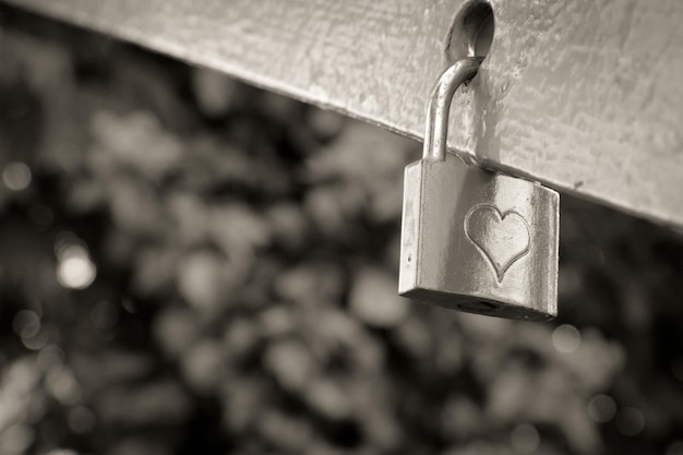 Photo close-up of padlock hanging on metal