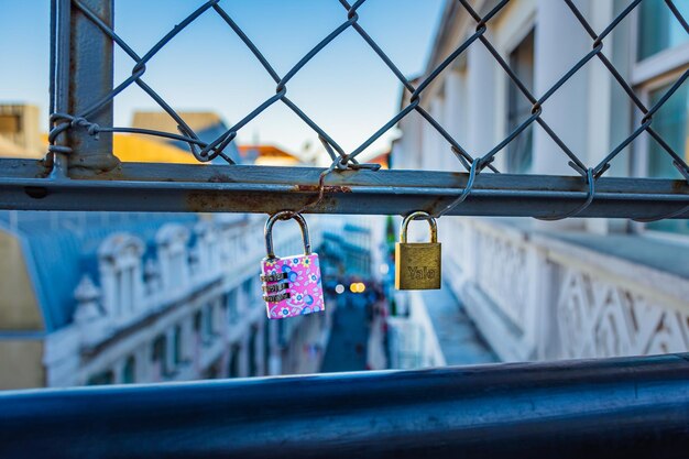 Photo close-up of padlocks hanging on chainlink fence