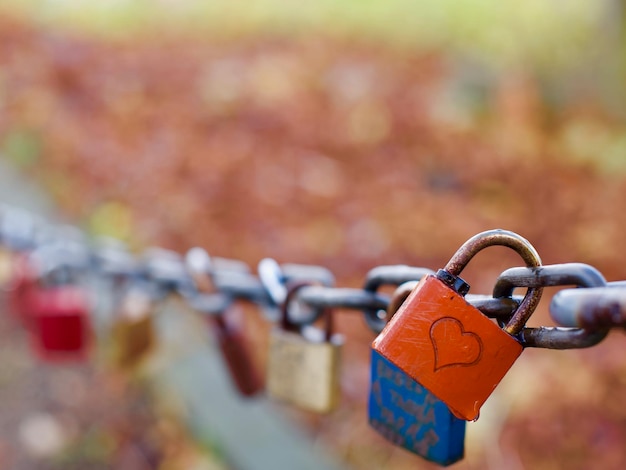 Close-up of padlocks on railing