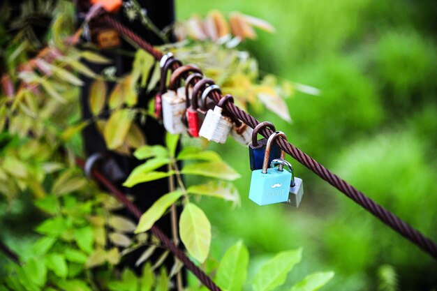 Close-up of padlocks on wire fence