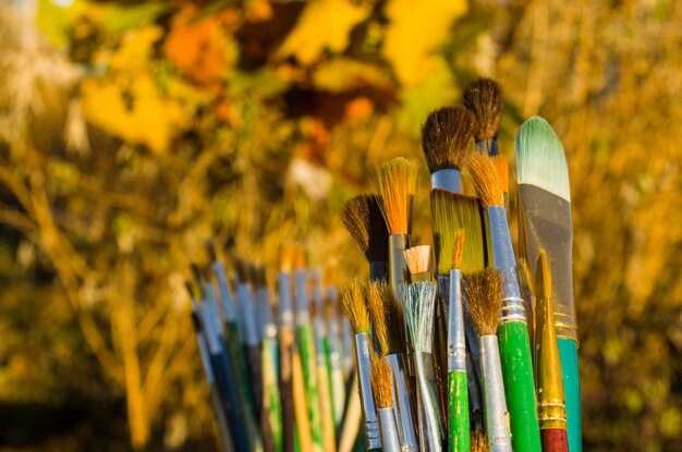 Close up of paint brushes Brushes on blurred autumn background