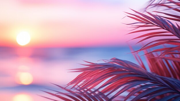 Close up of palm leaves with sunset sea in soft tones Beautiful nature background