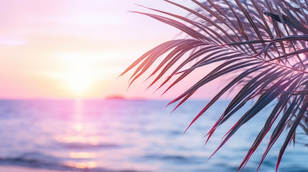 Close up of palm leaves with sunset sea in soft tones Beautiful nature background