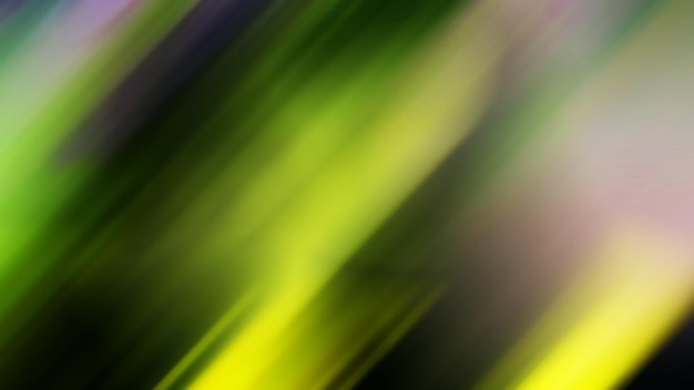 A close up of a palm tree with a blurred background