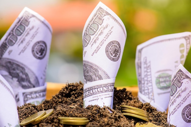 Photo close-up of paper currency and coins in soil