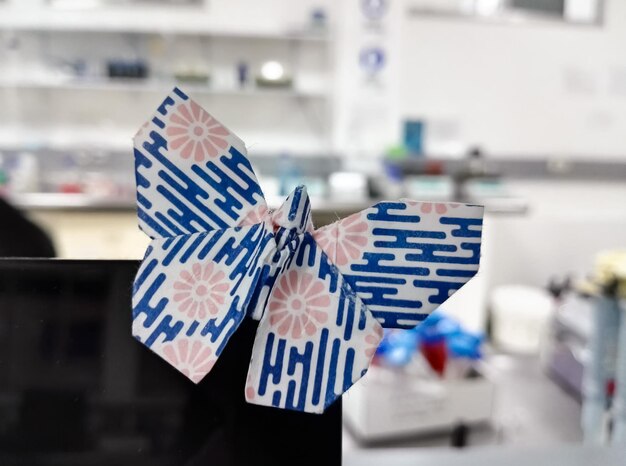 Close-up of papers butterfly on computer