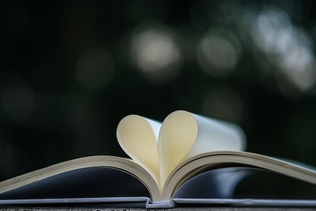Близкий план бумаг в форме сердца на книге