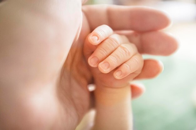 Close-up of parent holding baby boy hand
