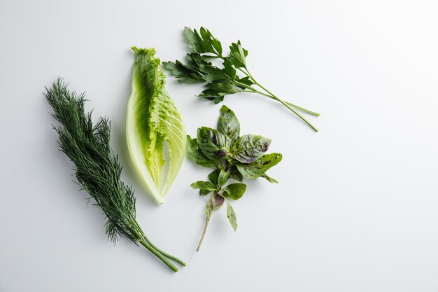 Close up on Parsley Herbs Dill Basil isolated