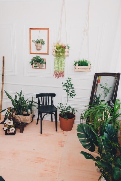 Foto primo piano di una parte dello studio fotografico luminoso con specchio decorato da fiori