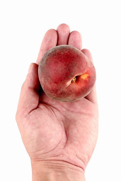 Close up of peach in hand isolated