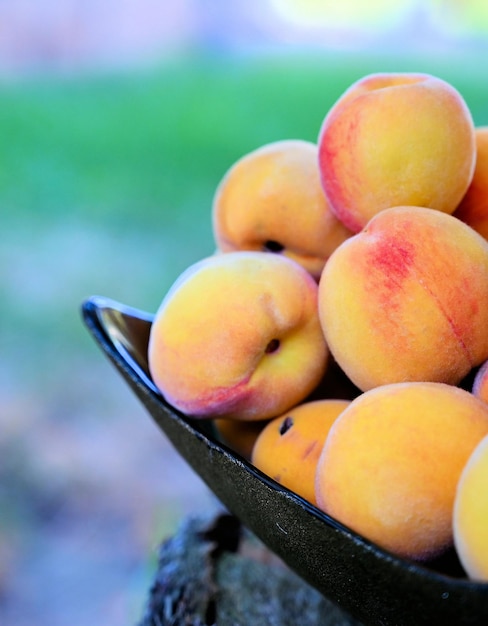 Close-up of peaches in bowl