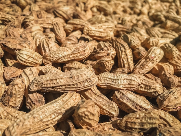 Close-up of Peanuts