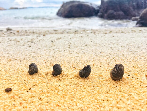 Close-up of pebbles on beach