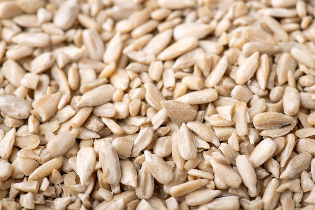 Close up peeled sunflower grain Fresh harvested sunflower seeds