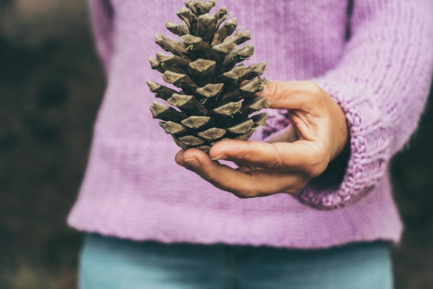 Close up of people hand holding pine cone concept of nature and\
humans love forest and woods and environment lifestyle stop\
deforestation