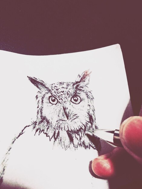 Photo close-up of person draw owl