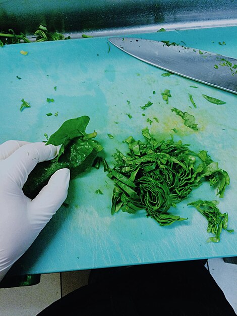 Premium Photo | Close-up of person hand cutting spinach leaves