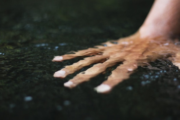 Photo close-up of person hand wet leaf