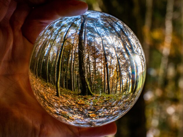 Close-up of person holding crystal ball