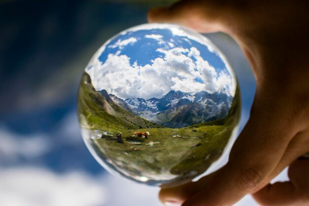 Photo close-up of person holding glass