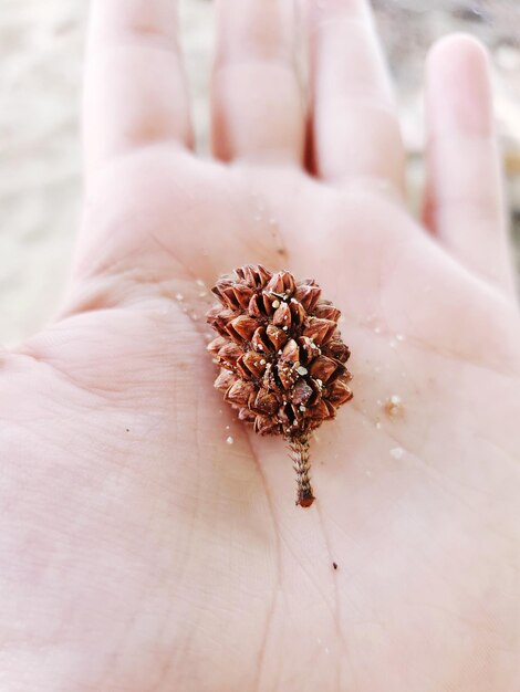 Close-up of person holding hand