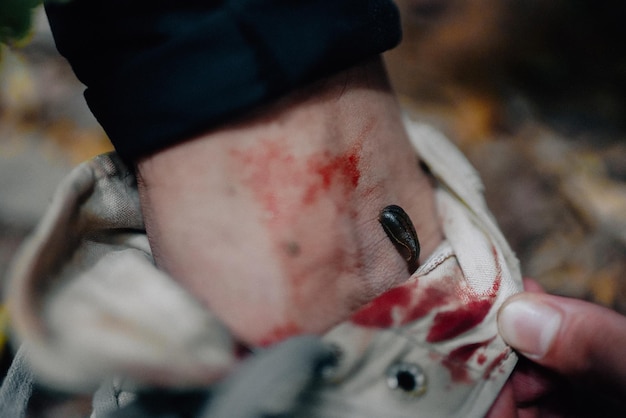 Close-up of person holding hands